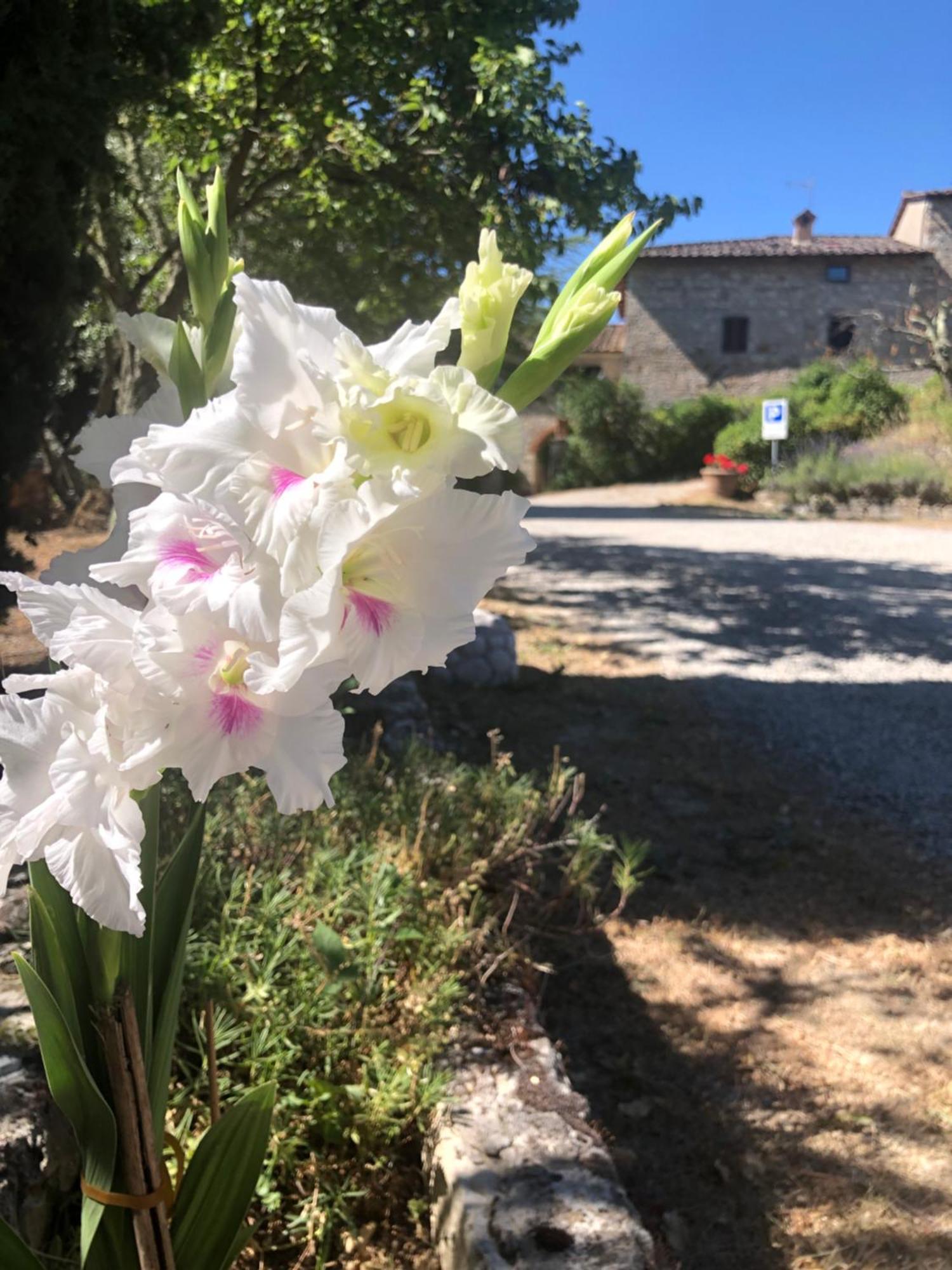 Agriturismo Malpensata Radda in Chianti Exterior photo